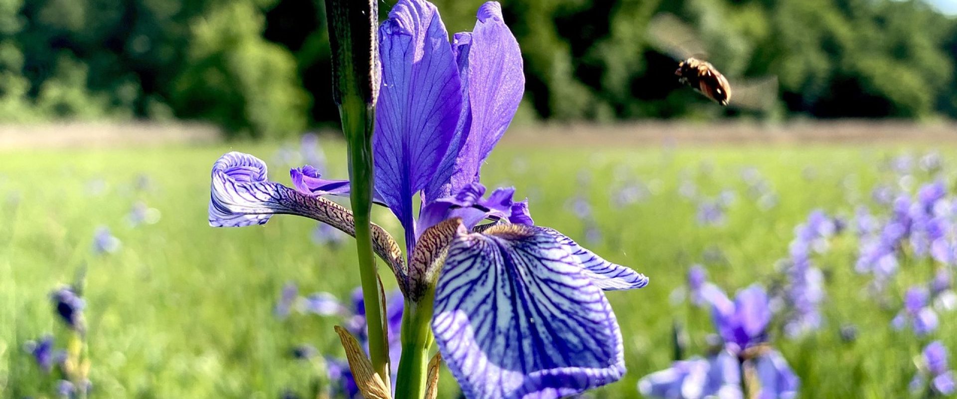 Sinnvoll führen in Zeiten von Veränderung – Das sinnorientierte Führungsmodell als Kompass für die neue Arbeitswelt